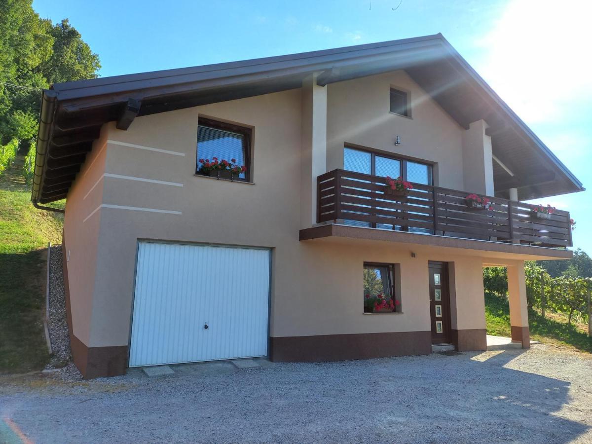 Nastanitev Nika Apartamento Rogaška Slatina Exterior foto