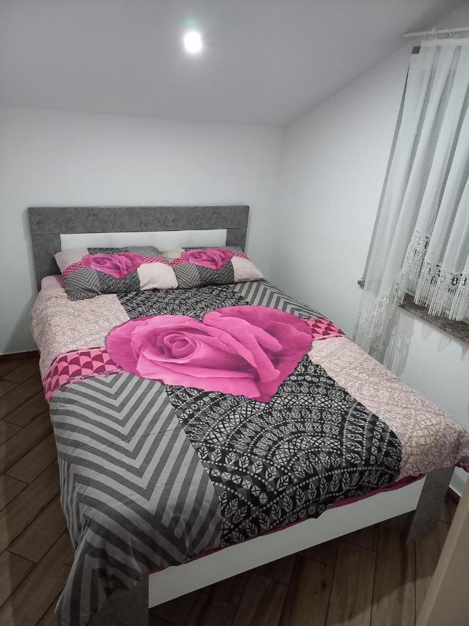 Nastanitev Nika Apartamento Rogaška Slatina Exterior foto